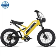 Ebike לפנאי